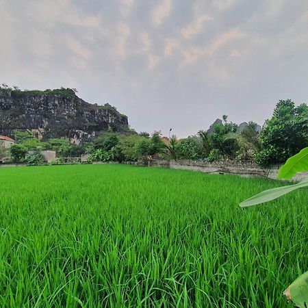 Trang An Garden Bungalow Ninh Bình Exteriör bild