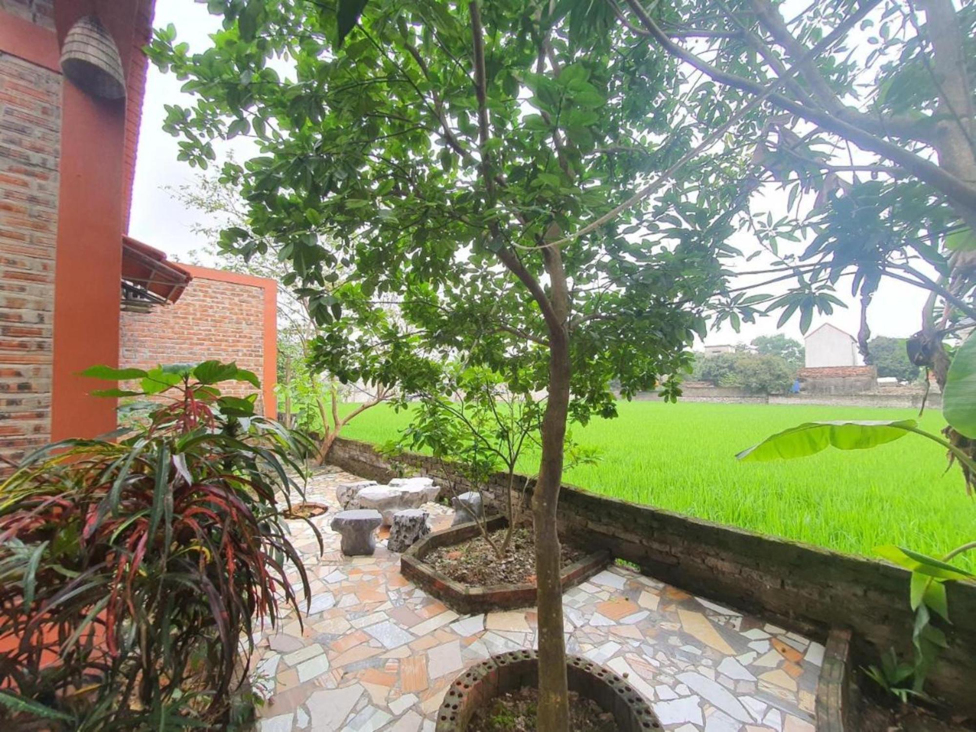 Trang An Garden Bungalow Ninh Bình Exteriör bild