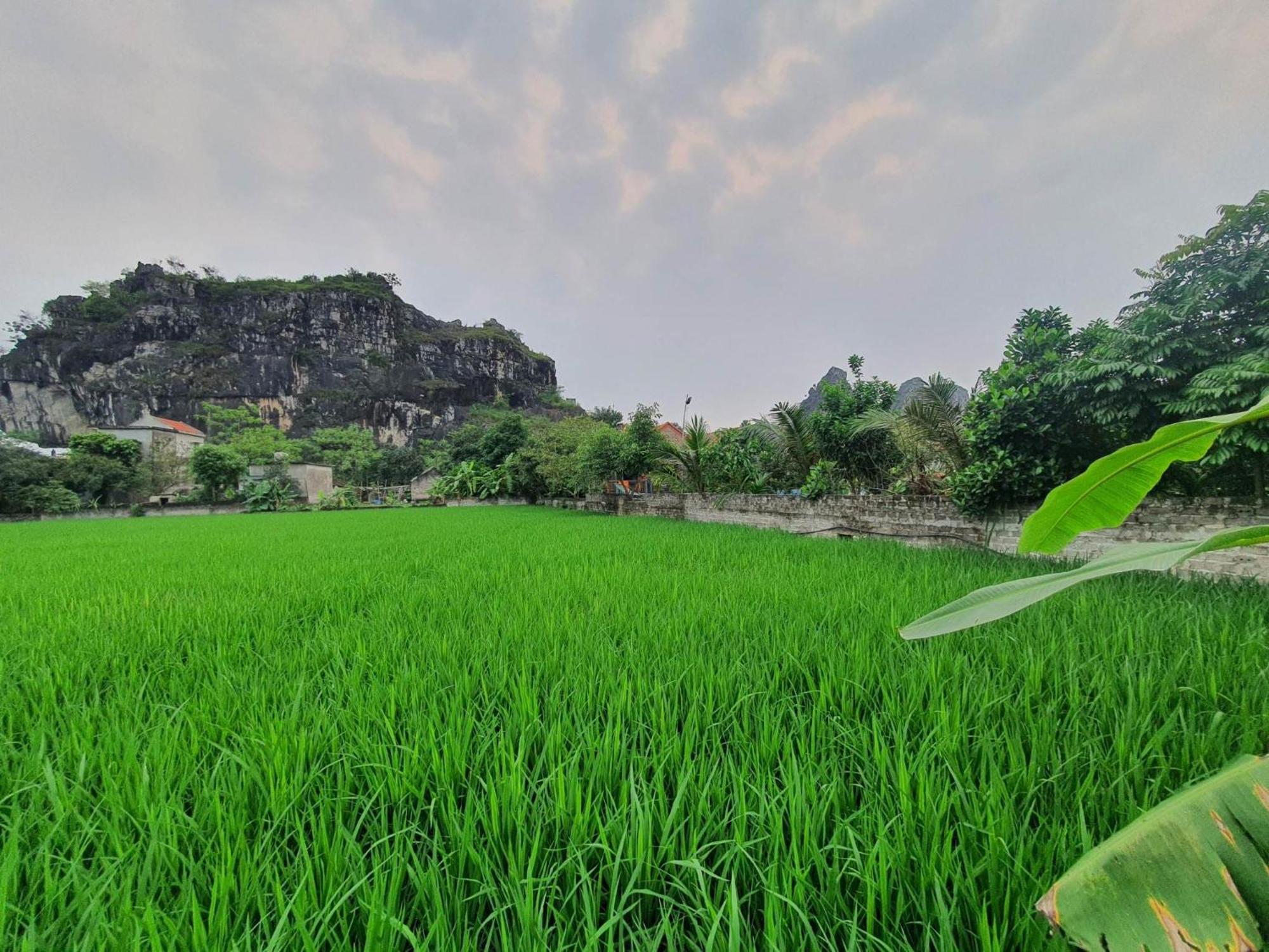 Trang An Garden Bungalow Ninh Bình Exteriör bild